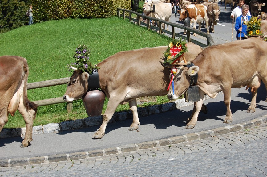 Svycarsko (104).JPG