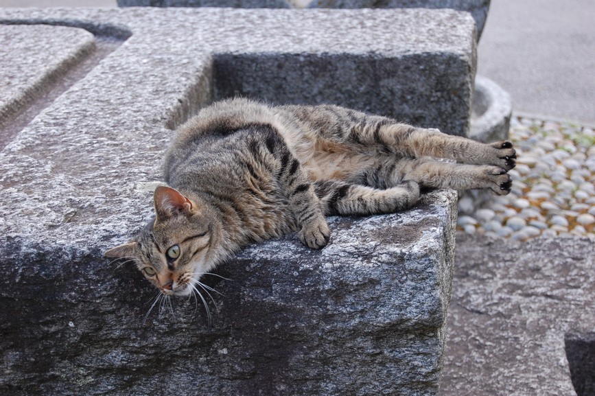 Svycarsko (67).JPG
